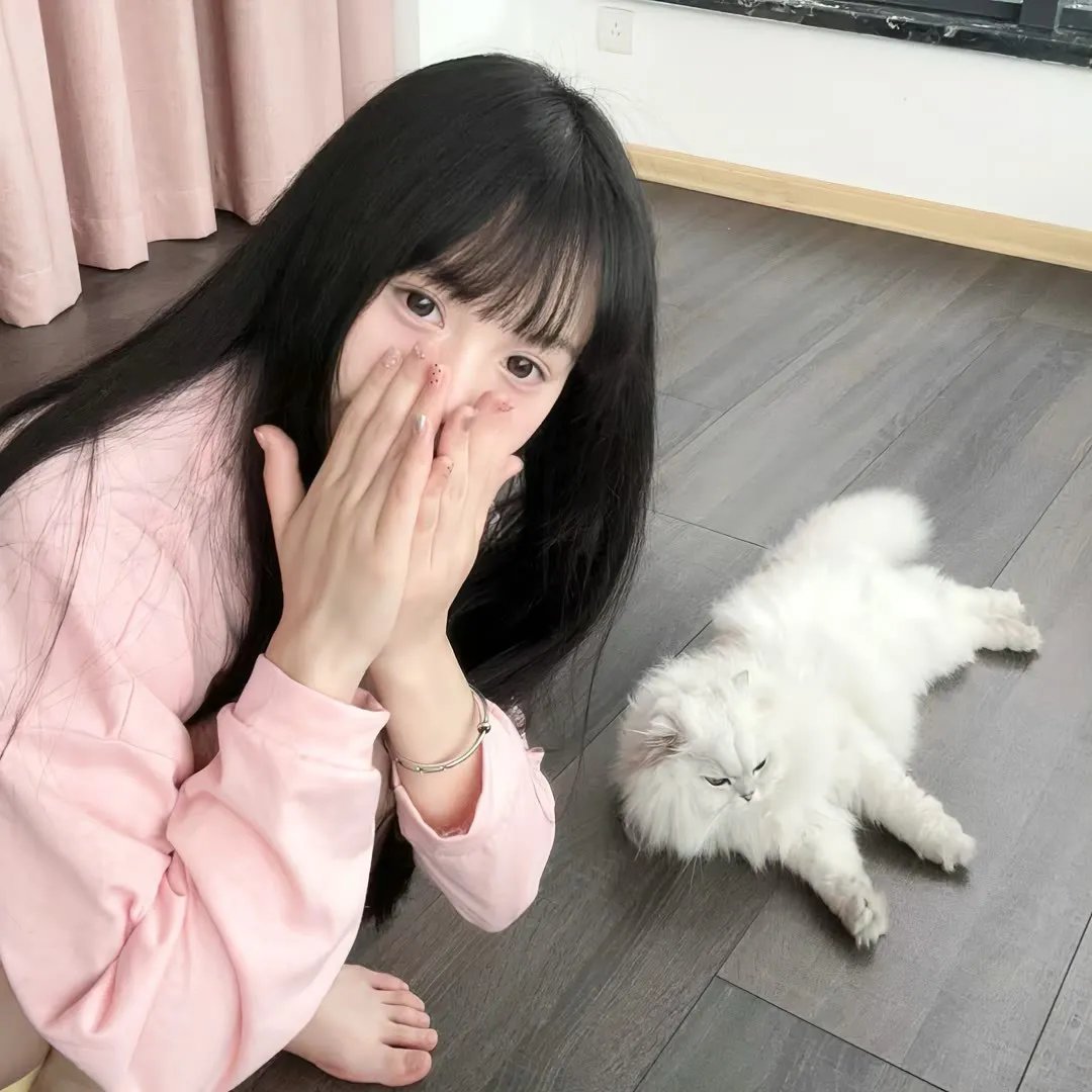 杰克与大象