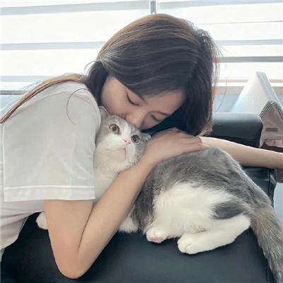 鸟类人间
